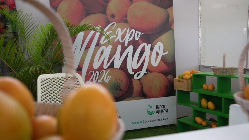 Una feria que impulsa la economía local y fortalece a los productores de mango